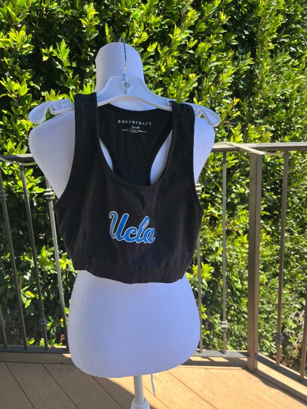 UCLA Sports Bra